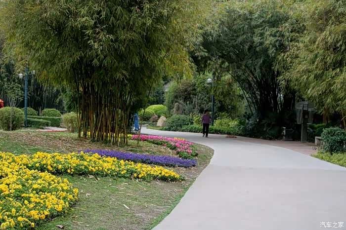 【深圳长安车友会】535逝水 游记之晓港公园