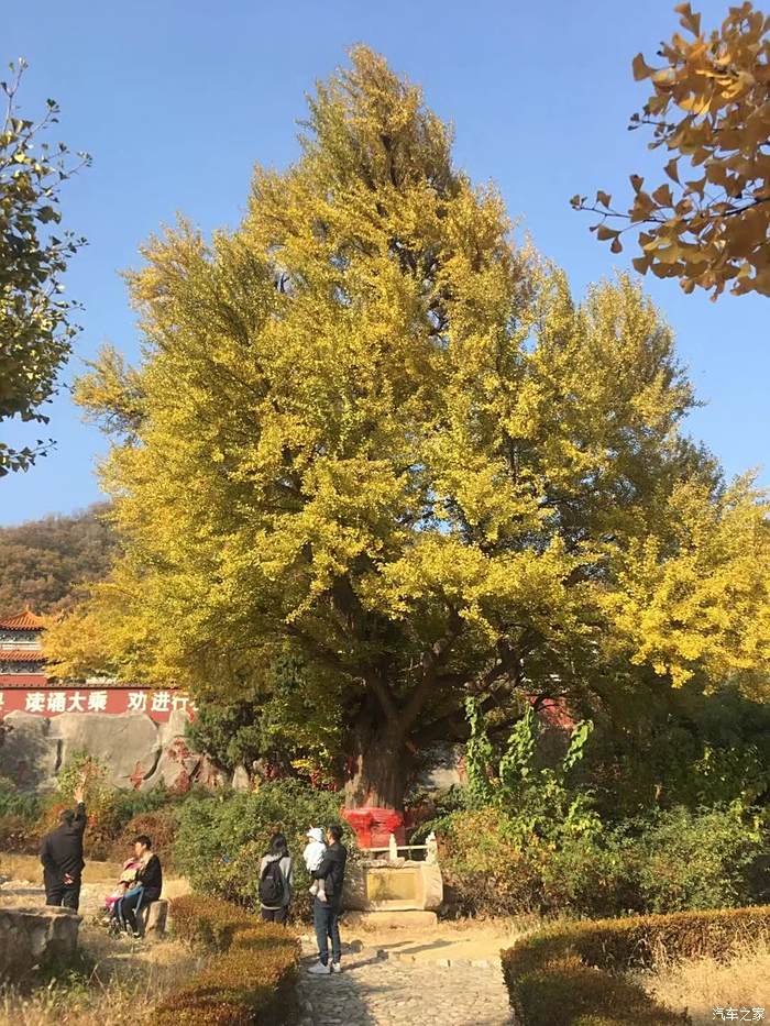 【人·車·生活,不負秋日】遊覽五峰山禪林寺