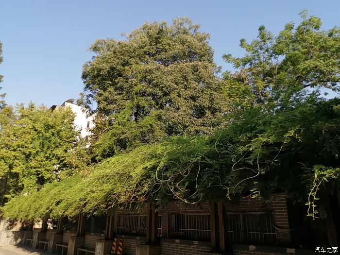 【图】骑着电动车周末采风南昌阳明公园_电瓶车论坛_汽车之家论坛