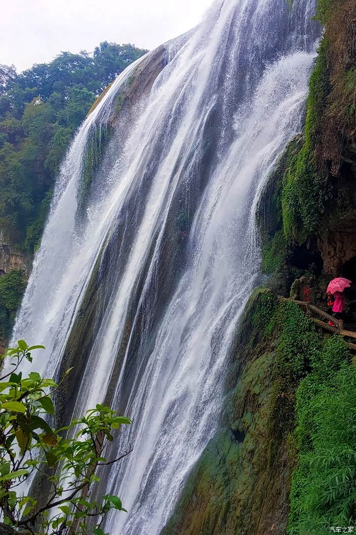我的万水千山不是你要的翘首以盼