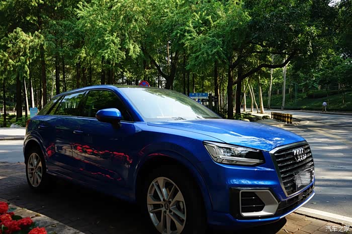 【图】鹦鹉蓝豪华致雅 论坛首提?_奥迪q2l论坛_汽车之家论坛