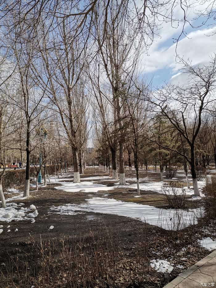 虎眼看长春之岱山公园