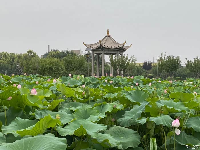 永济市滨河公园