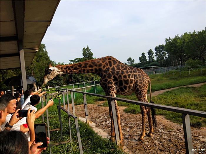 深圳長安車友會475風扇哥東莞香市動物園遊記