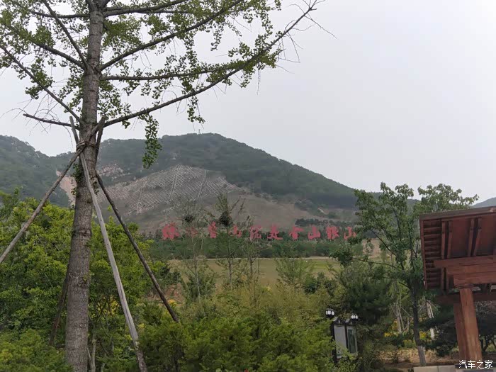 原来这都是金山银山呀.