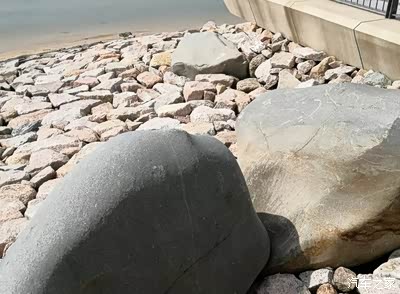 面朝大海 游前海生态园