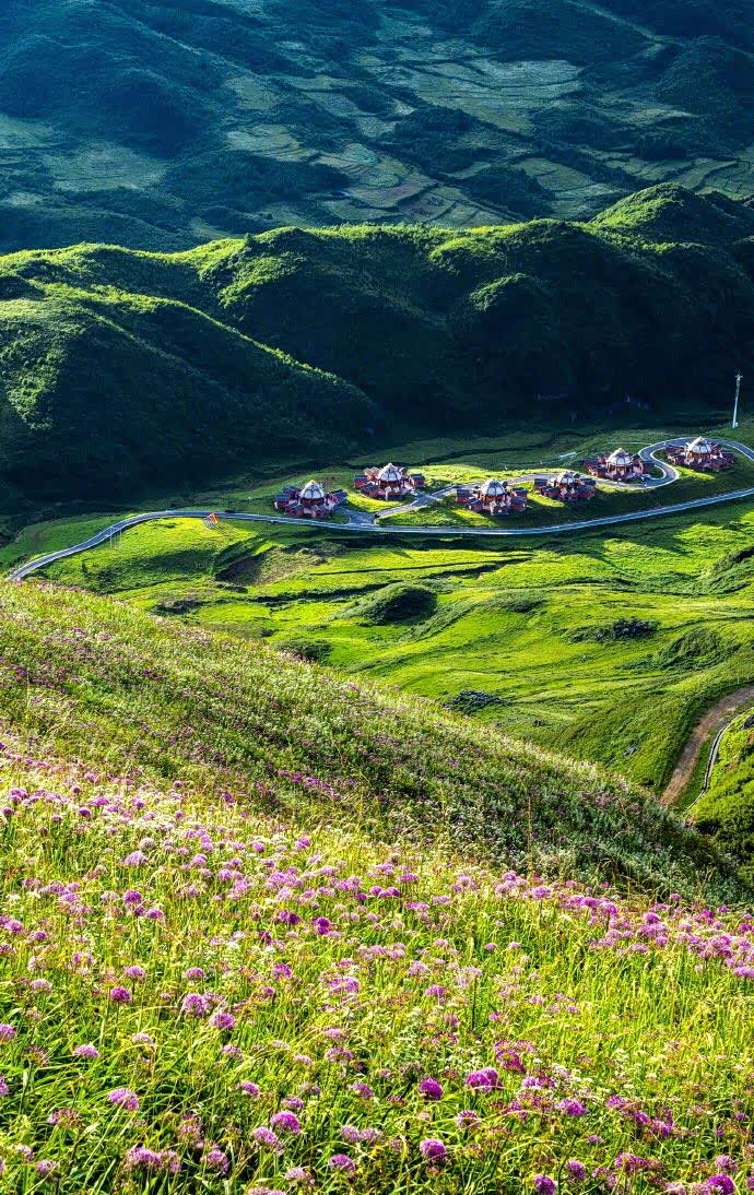阿西里西天上花海景区,又称大韭菜坪.这里好美.
