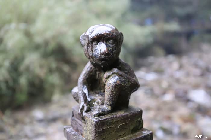 终于看到猴子啦,只不过这是石头雕刻的猴子,再往上周石雕猴子越来越多