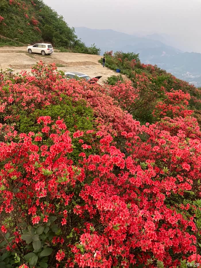 五一登顶梅王寨