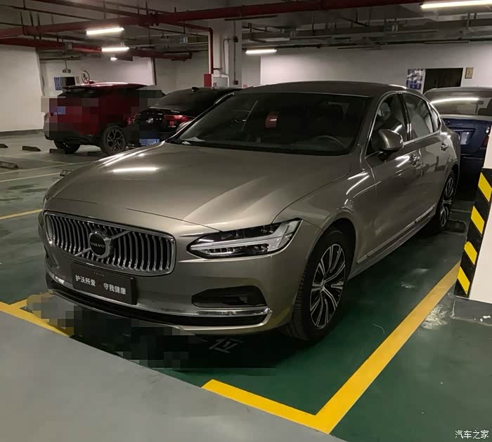 另外好像还有枫木粽和松林灰两个颜色,在s90上见到的比较少.