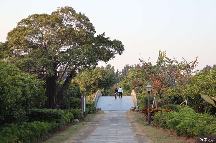 爱车作业大征集基塘田园新型农业生产模式