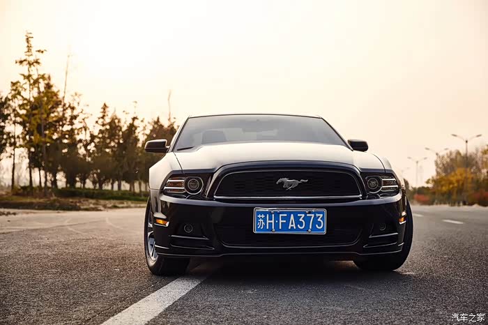 5代野马情怀无价不挡车牌了