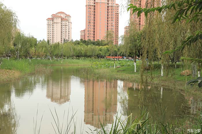 自驾新款55plus游双青公园