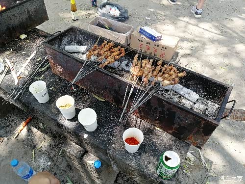 炎炎烈日河南哈七大队齐聚丰乐葵园烧烤一日游