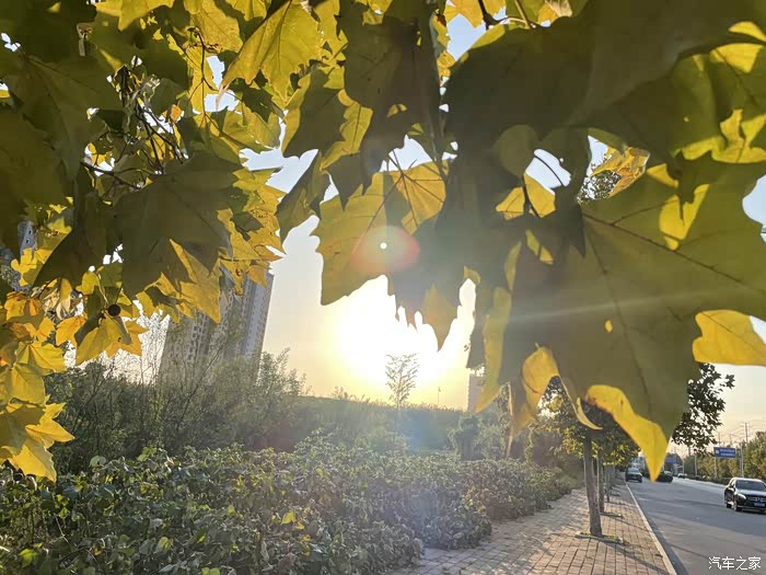秋风凉爽,阳光很暖,在路上的景色分享.