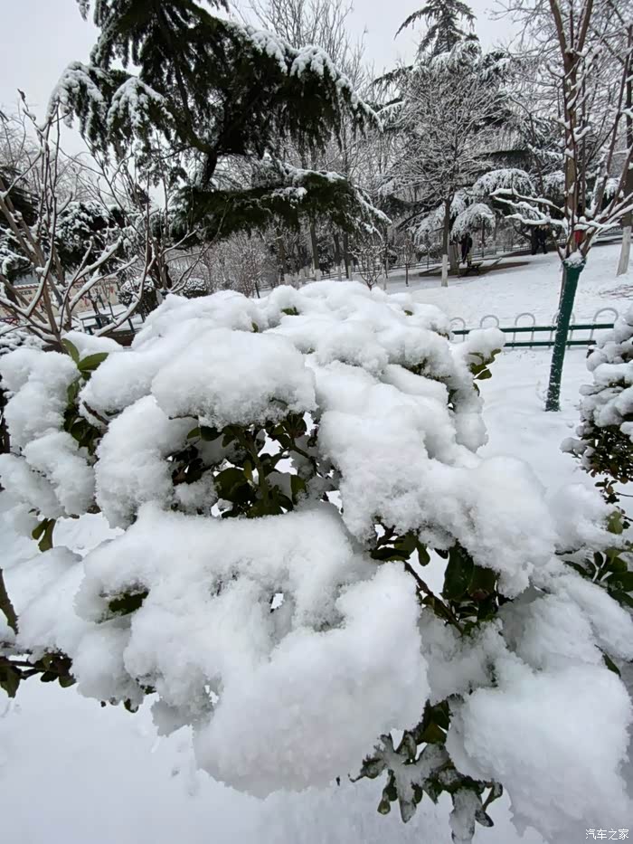 唐山2020年第一场雪报到