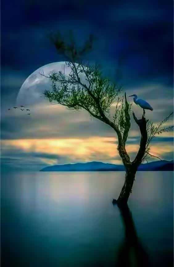 用相机拍下美好的记忆,看着壮阔的风景,让人心情非常的舒爽.