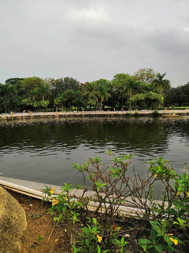 周末游黄江人民公园