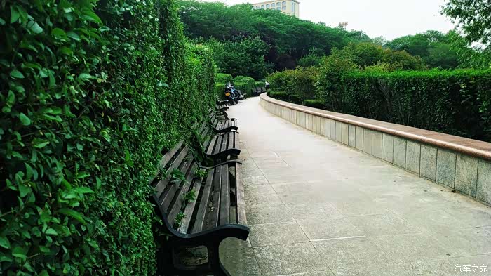 开车去巨力公园游玩