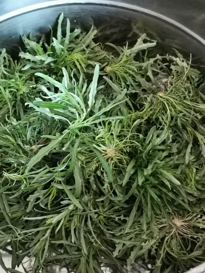 这种是小叶糖芥.