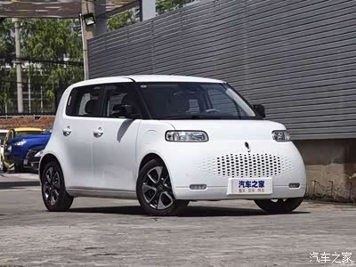 黑猫白猫能抓老鼠的就是好猫,欧拉白猫来了.