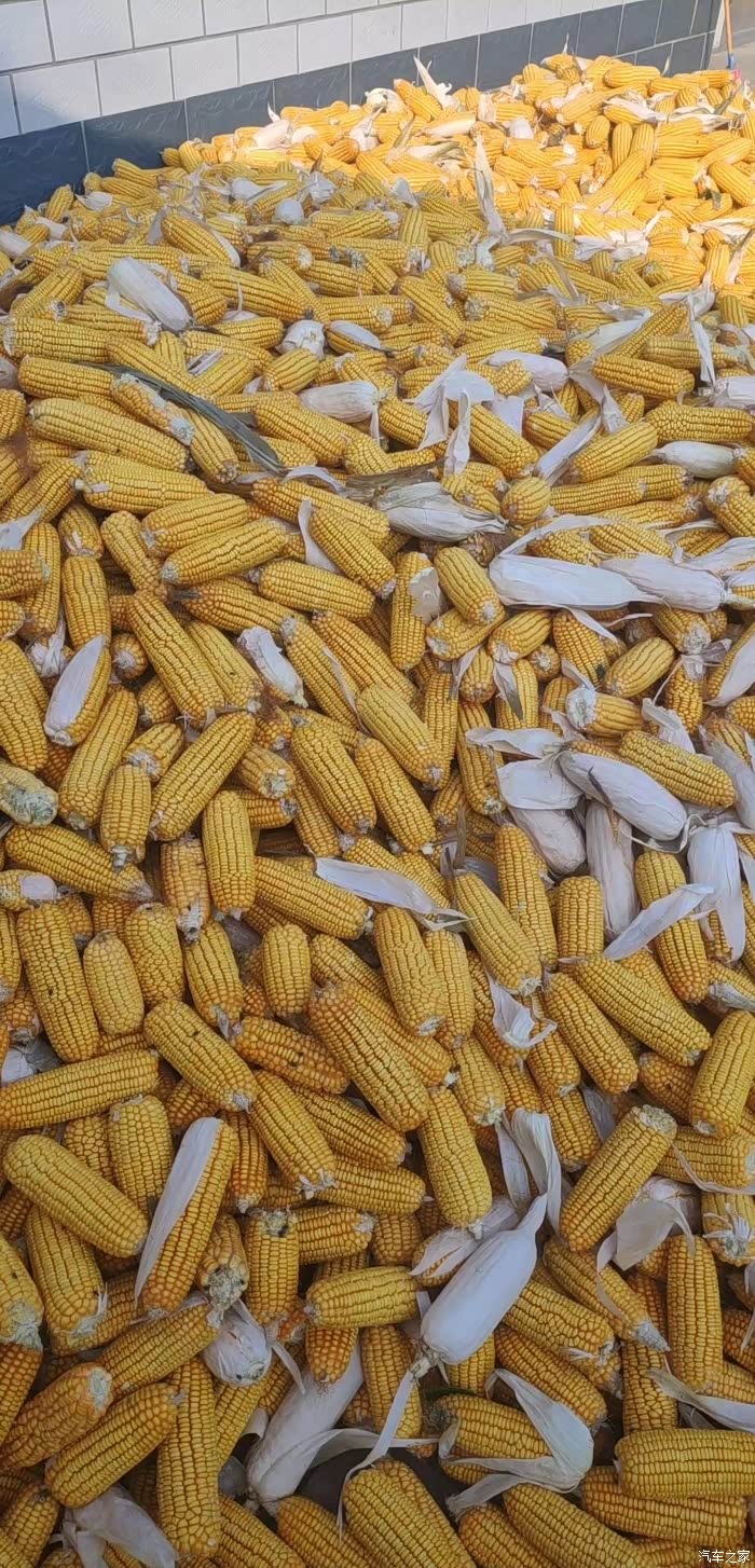 我和别人不一样的十一国庆