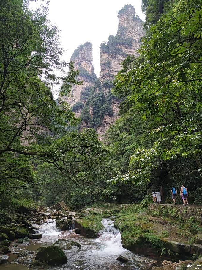 畅游武陵源金鞭溪