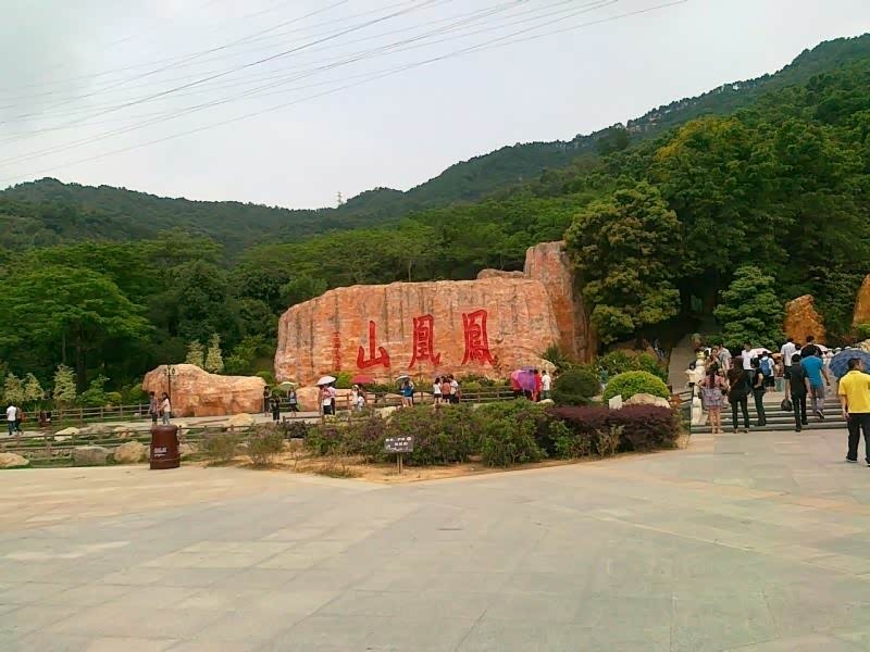 带小七凤凰山一日游