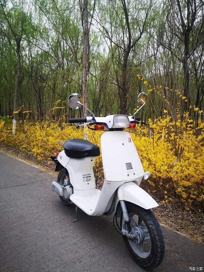 【图】整备1980本田tact一代_摩托车论坛_汽车之家论坛