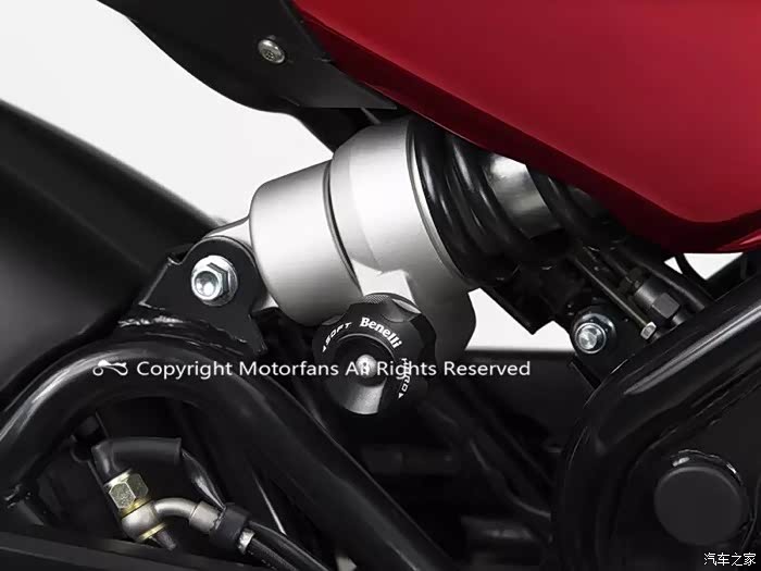 幼狮500后减震求教