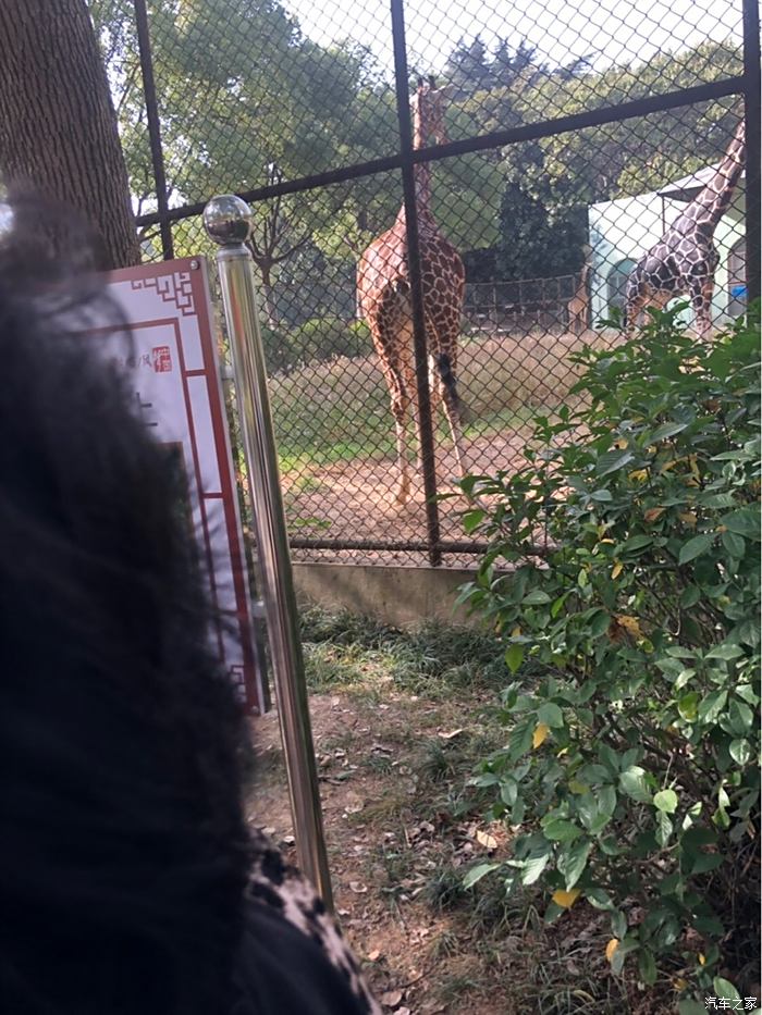 南京紅山森林動物園