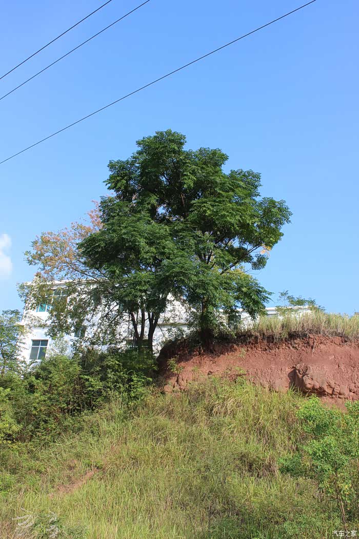 来自乡村野边的自由呼唤