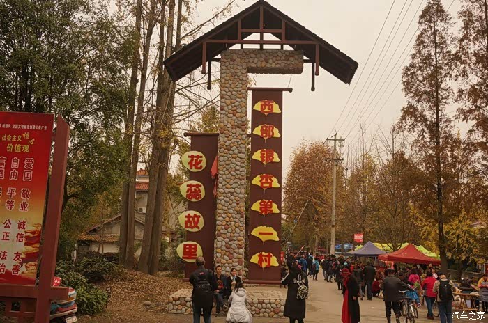 西部银杏第一村都江堰石羊镇金羊村