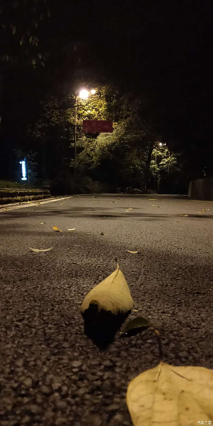 最美的风景都在路上~夜骑都江堰看秋后银杏