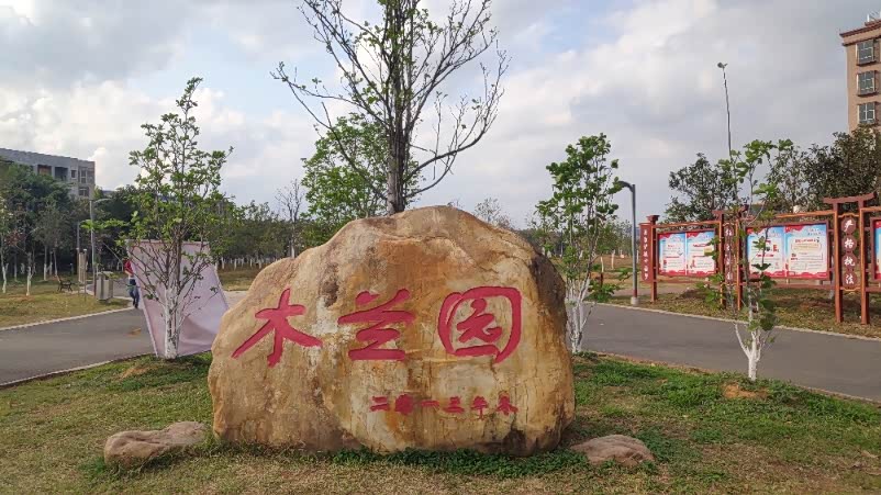 欢天喜地迎新春领克02相伴过新年春节陪家人游木兰园