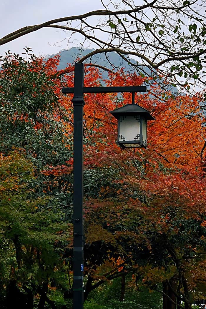 禅境画意天竺路 ,秋天的景色美呆了