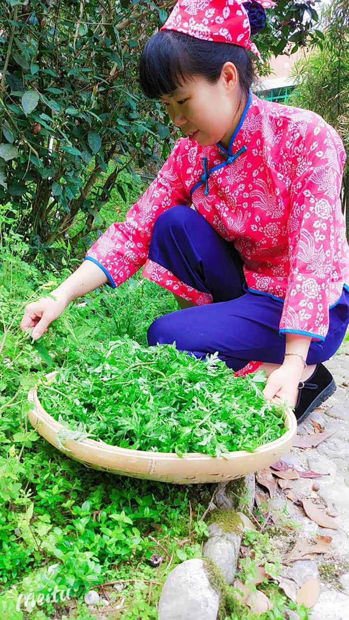 【大连长安车友俱乐部】广东第一峰春季瑶家采艾忙