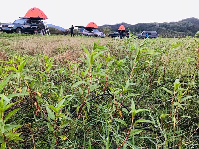 野炊露营戏水显岗水库享受休闲人生