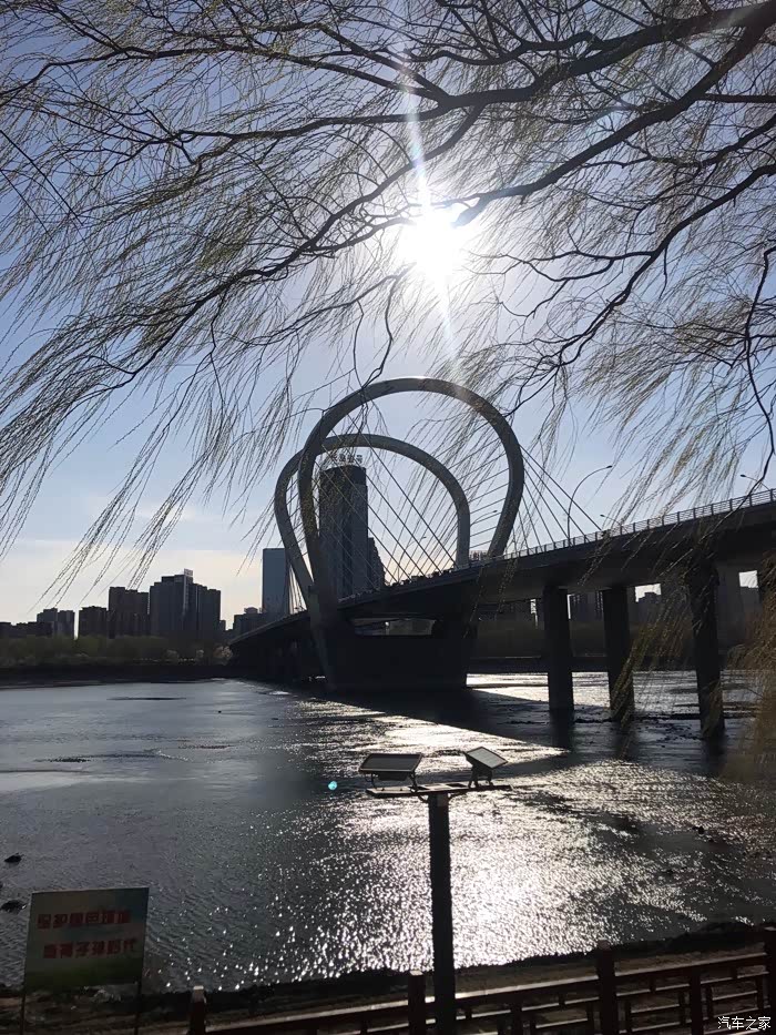 好春光不如梦一场