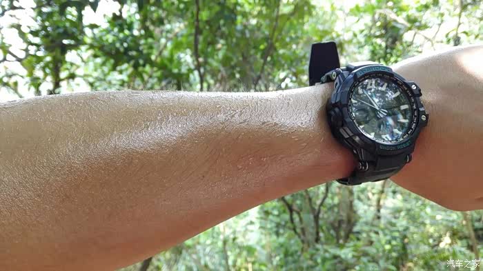 才会手臂的汗水已透过毛孔迸发出来,今天的天气比较炎热适合徒步燃烧