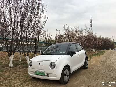 黑白相间的欧拉r1很好看