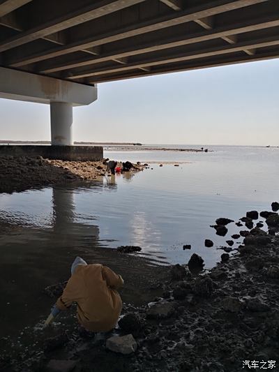 中秋节曹妃甸赶海