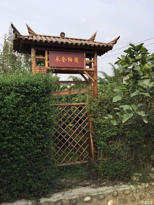 周末休闲农家乐柚子园