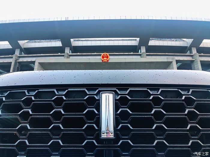 车标与国徽,国产标杆