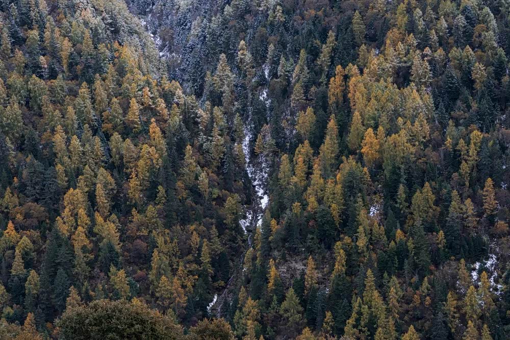 脚踏善良,拥有远方.去看那高山深谷里的秋色