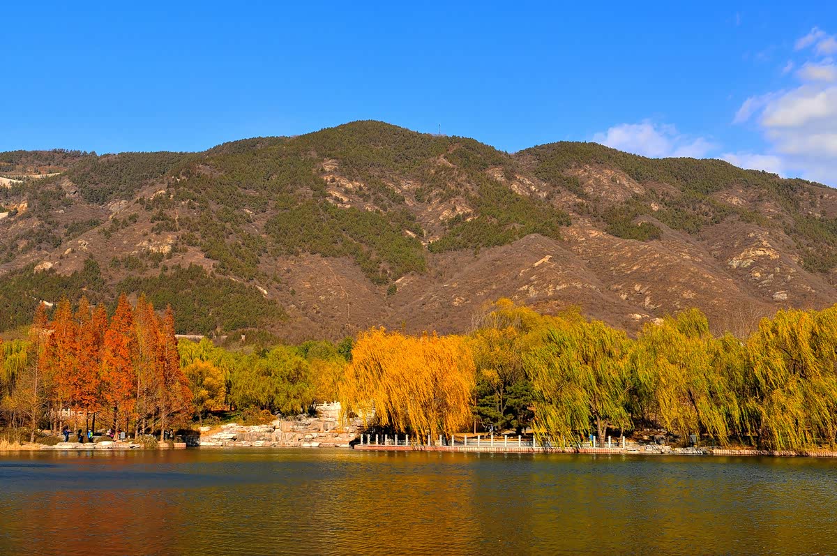 晚秋初冬的景色,一片撩人,秋天的颜色五彩缤纷
