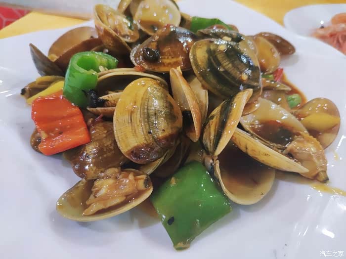 桂山蚬,正宗珠海海鲜