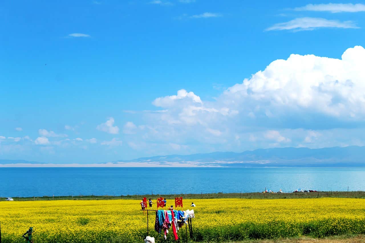 博越打卡青海湖,美景尽收眼底.