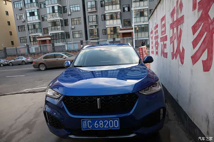 【图】难得好天气-闲逛第五届菊花展_魏牌 vv6论坛_汽车之家论坛