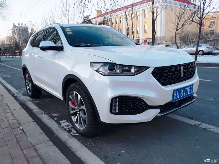 一#情迷索菲亚,你究竟见证了多少人的爱情_魏牌 vv6论坛_汽车之家论坛